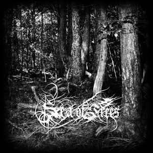 Sea of Trees  - Aokigahara