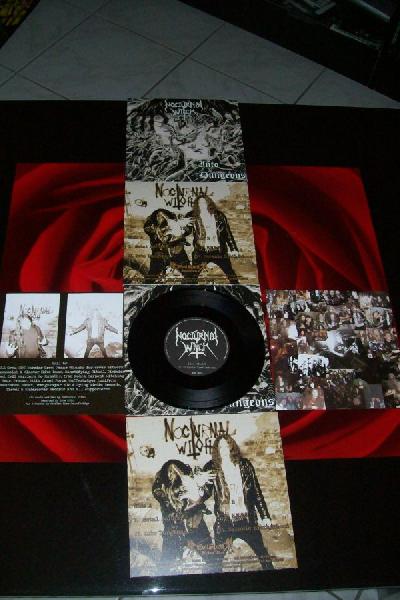 Nocturnal Witch - Into Dungeons