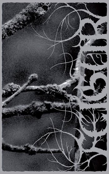 Feigur - II, Desolation