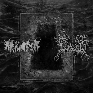 Arkona / Illness - Split