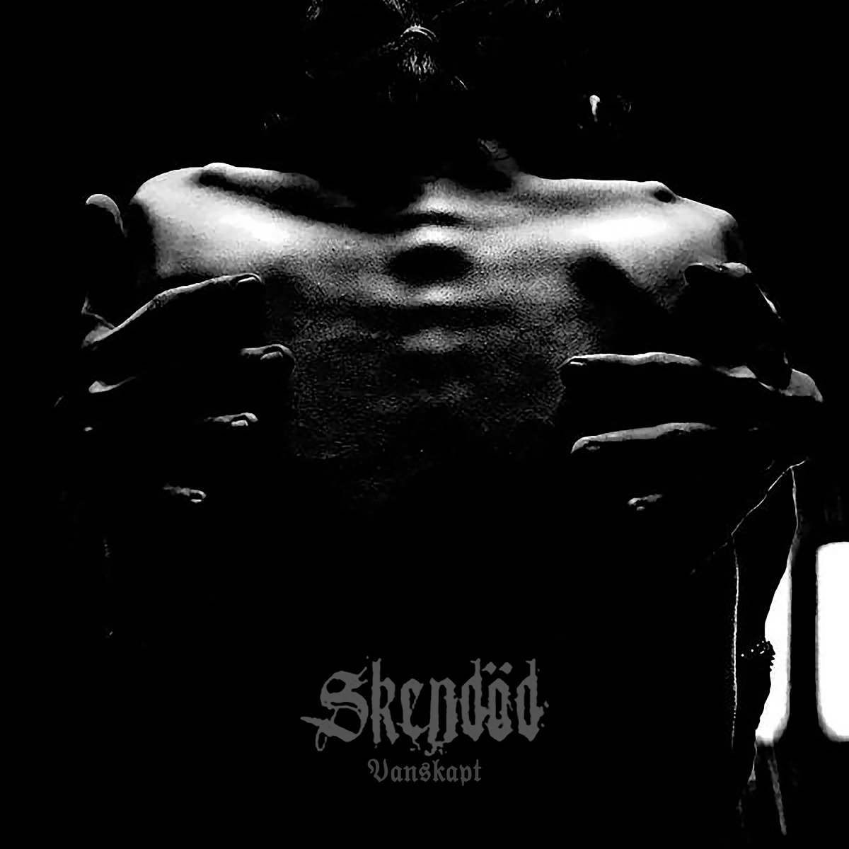 Skendd - Vanskapt