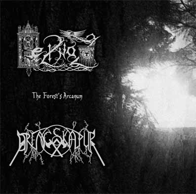 Heilnoz / Drengskapur – The Forest's Arcanum