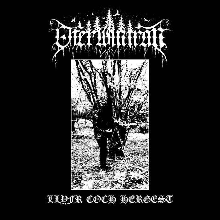 Oferwintran - Llyfr Coch Hergest (Digipack)